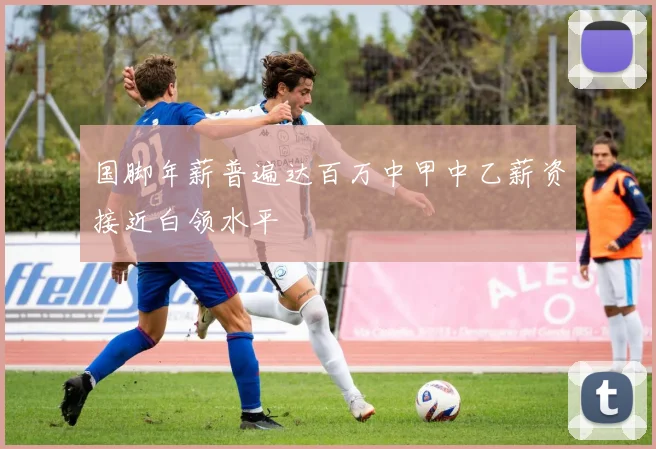 国脚年薪普遍达百万中甲中乙薪资接近白领水平